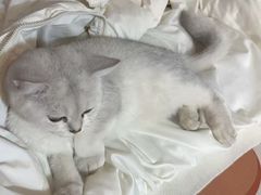 -红像馆连锁精致证件照职场照(中关村店)