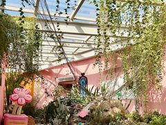 -正佳雨林生态植物园