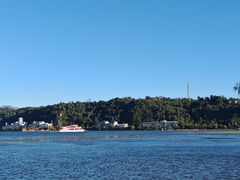 -洱海月湿地公园