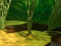 -上海海洋水族馆