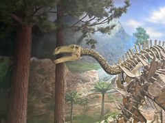 -延庆地质公园博物馆