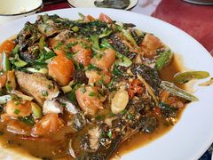 剑骨鱼啤酒炖-生态苑农庄(十里画廊遇龙河店)