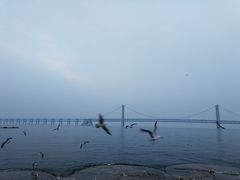 -大连圣亚海洋世界