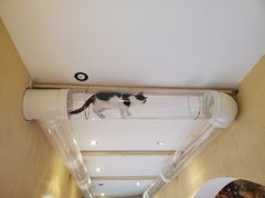 -萤火虫咖啡(后海店)
