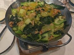 -丁老爷子苏香圆