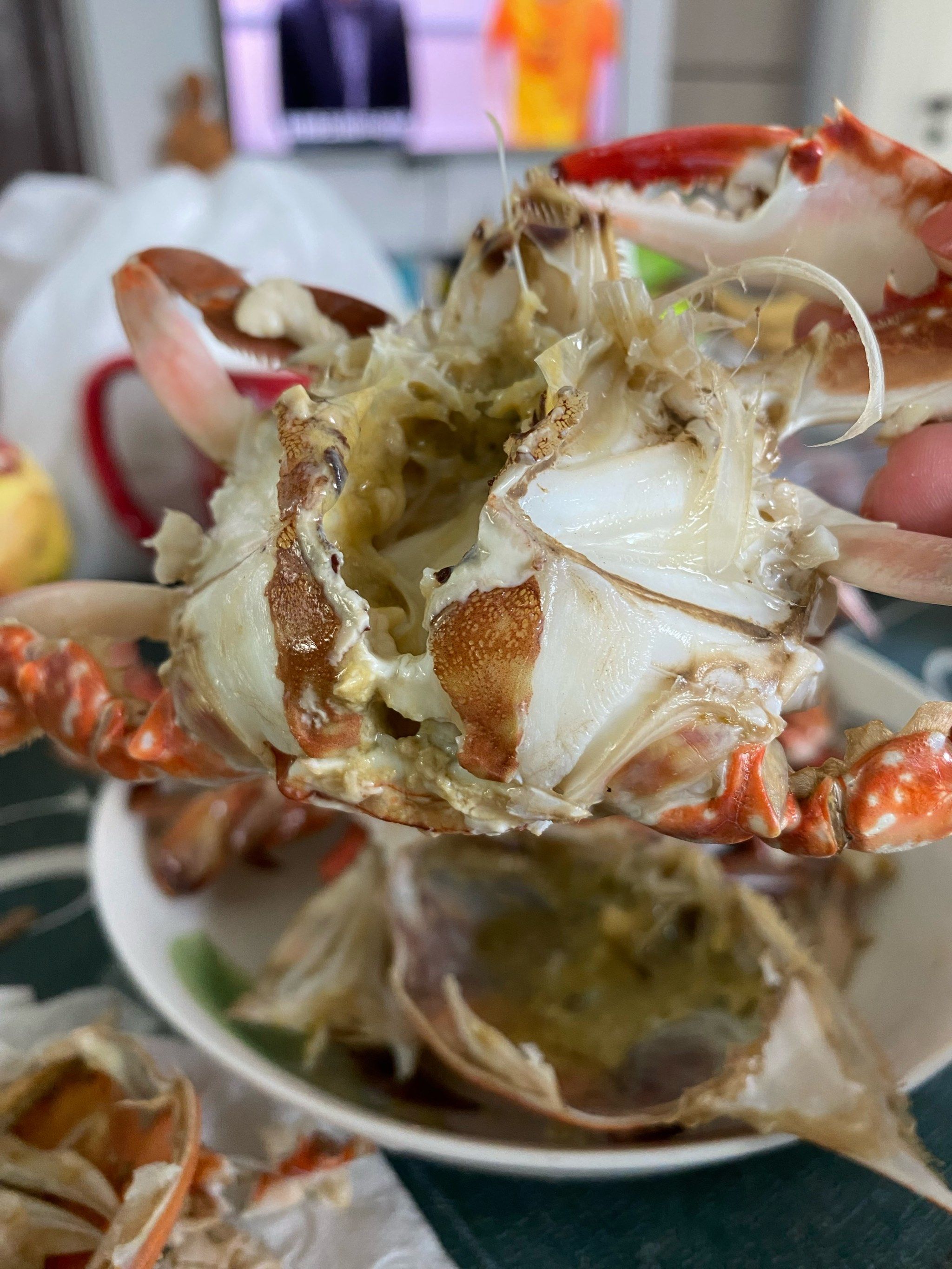 秋日养生食补指南#海鲜 #不得不吃的海鲜大餐#吃海鲜我们是认真的