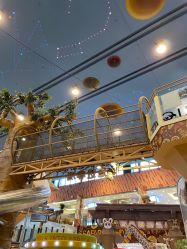 -卡通尼·Safari非洲探索乐园·生日会(金桥国际商业广场店)