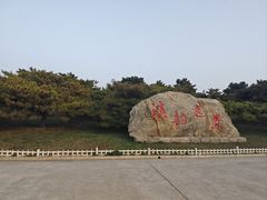 -塘沽森林公园