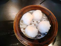添运来虾饺皇-添运来(茶园奥园广场店)