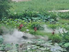 -龙环葡韵住宅式博物馆