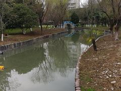 -中央公园(苏州工业园区)