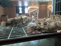 -金贵源食神(楚河汉街店)