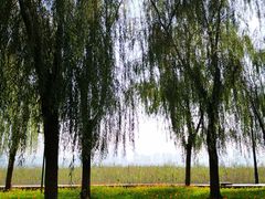 -一澜江宴·江景地标楚菜(江滩公园店)