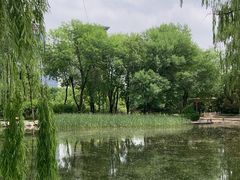 -玲珑塔公园