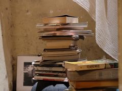 -Silly Dog Coffee(滨江店)