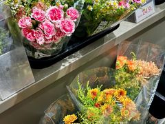 -鹿岛生活(熙地港店)
