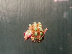 -上海当代艺术博物馆