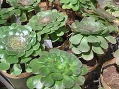 -鹿岛会员店 (龙湖三千集天街店)