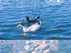 -西安汉城湖景区