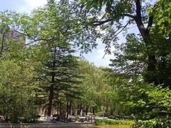 -西安市长乐公园