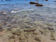 -玫瑰海岸文化旅游度假区