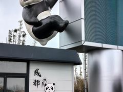 -成都大熊猫繁育研究基地