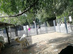 景点-长白岛森林公园