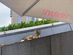 -UNIUNI(凯瑟琳广场店)