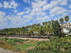 -中国科学院西双版纳热带植物园