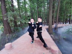 -东湖落雁景区