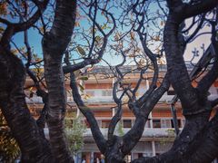 -吐斯廉屠杀博物馆