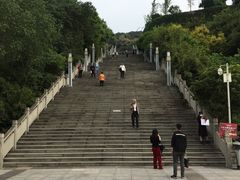 -铁山坪森林公园