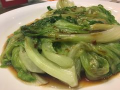 生菜-益利大酒楼(井岸店)