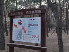 -林海公园