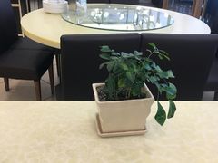 -老昌春饼(西民主路总店)