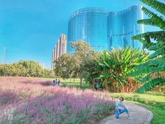 -艾溪湖湿地公园