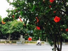 -南宁国际会展中心(会展东博文化旅游区)