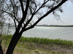 -天津东丽湖风景区