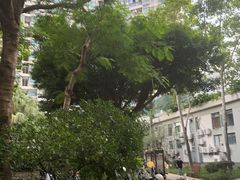 -南山图书馆(常兴路店)