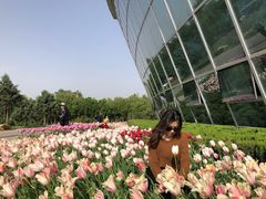 -石家庄市植物园