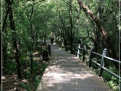 -紫金山山顶公园