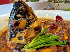 -悦融琥珀·京鲁菜·海味珍品(西单店)