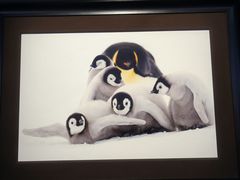 -罗红摄影艺术馆