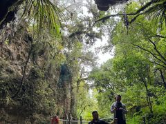 -怀托摩萤火虫洞