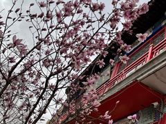 -华声天桥民俗文化园