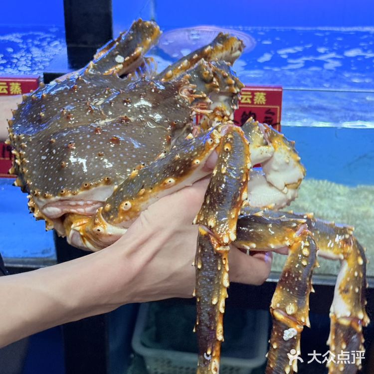 今天吃到了乌萨奇原型……