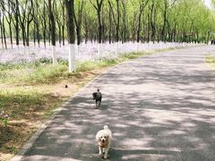 -东郊湿地公园