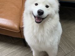-联合动物医院(光谷诊疗中心)