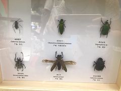 -中国杭州低碳科技馆