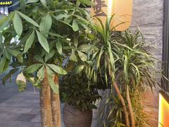 -前进5路汉堡炸鸡(昙华林店)